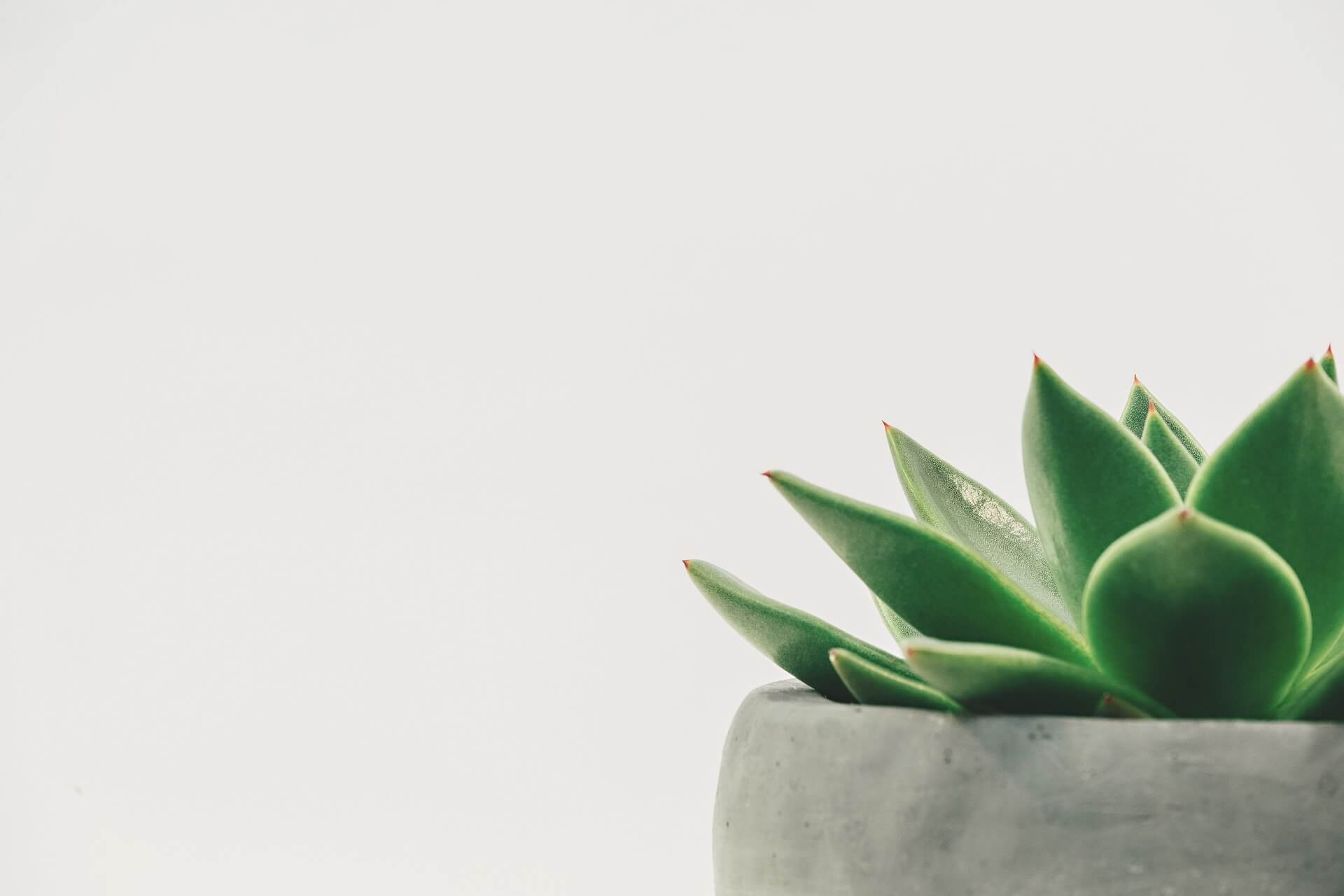 Maux de tête récurrents ? 5 choses à savoir
